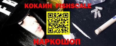 тгк Кингисепп