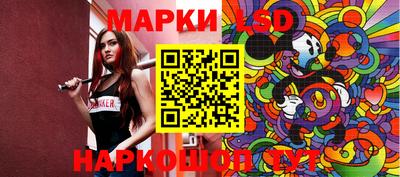 тгк Кингисепп