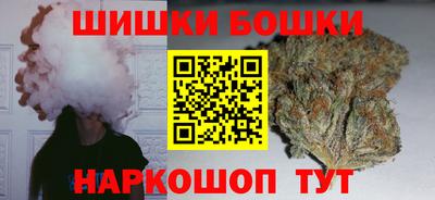 тгк Кингисепп
