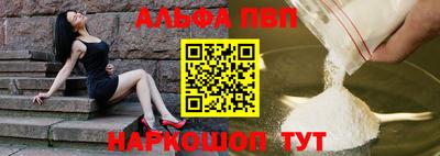 тгк Кингисепп