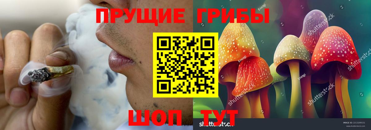 Кубинка  Галлюциногенные грибы прущие грибы  Вход с VPN 
